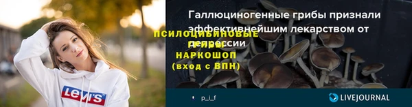 эйфоретик Белокуриха