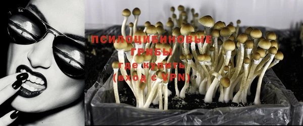 эйфоретик Белокуриха